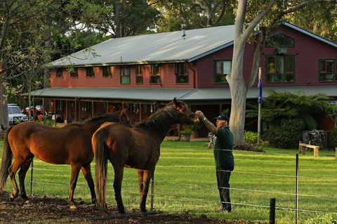 Bilpin Country Lodge - Tourism Bookings 1
