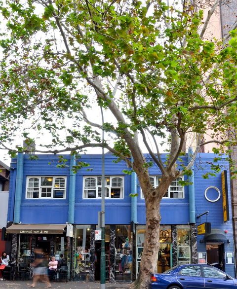 Blue Parrot Backpackers - Tourism Bookings 6