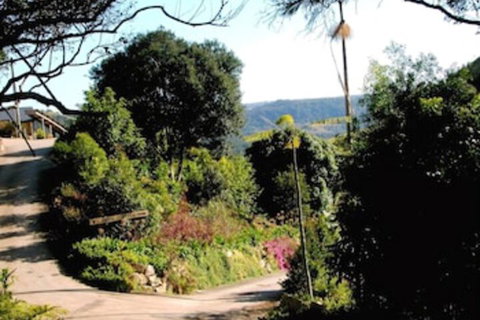 Top Of The Hill - Events Australia 3