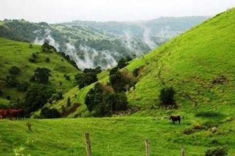 Top Of The Hill - Events Australia 1