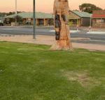 Lake Albert Motel - Events Australia
