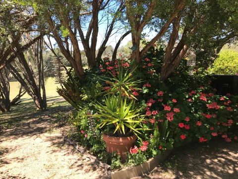 The Fingal Farm - Tourism Bookings 6