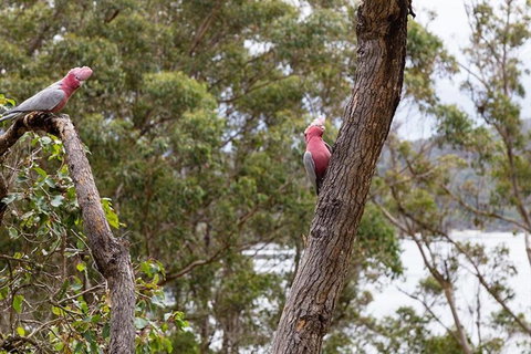 The Coombe On Wilson Inlet - Events Australia 6