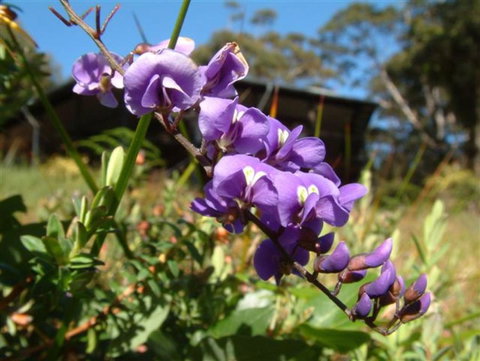 The Coombe On Wilson Inlet - Events Australia 4