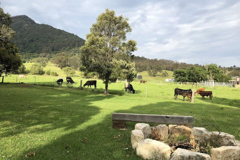 ARCADIA - The Barn Cottage & Rosehill Cottage - Events Australia 3