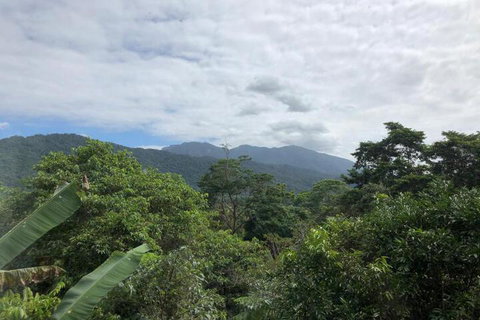 Mossman Gorge Bed & Breakfast - Events Australia 5