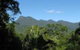 Mossman Gorge Bed & Breakfast - thumb 0
