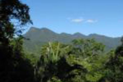 Mossman Gorge Bed & Breakfast - Events Australia 0