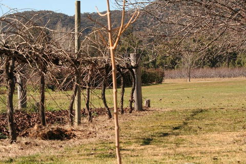 The Farmhouse At Blue Wren Wines - Tourism Bookings 3