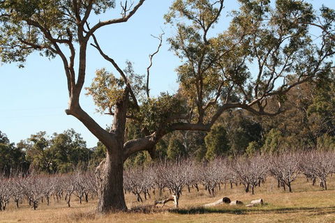 The Farmhouse At Blue Wren Wines - Tourism Bookings 1