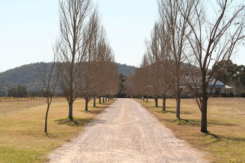 The Farmhouse At Blue Wren Wines - Tourism Bookings 4