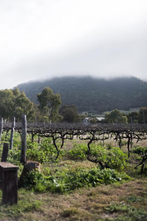 Hope Farm Guesthouse - Tourism Bookings 2