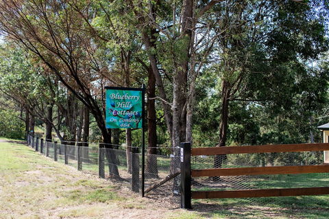 Blueberry Hills On Comleroy - Tourism Bookings 0