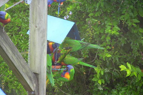 A Lakehouse Escape - Events Australia 4