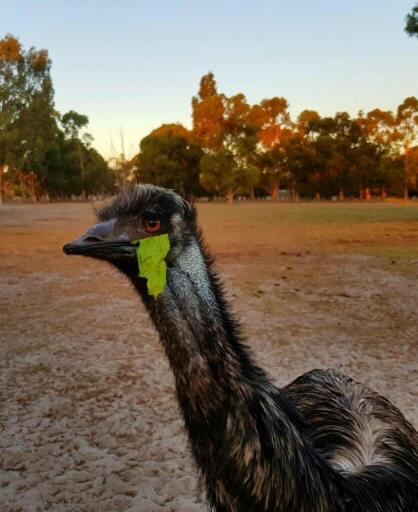 Nutcrackers Lodge - Events Australia 5