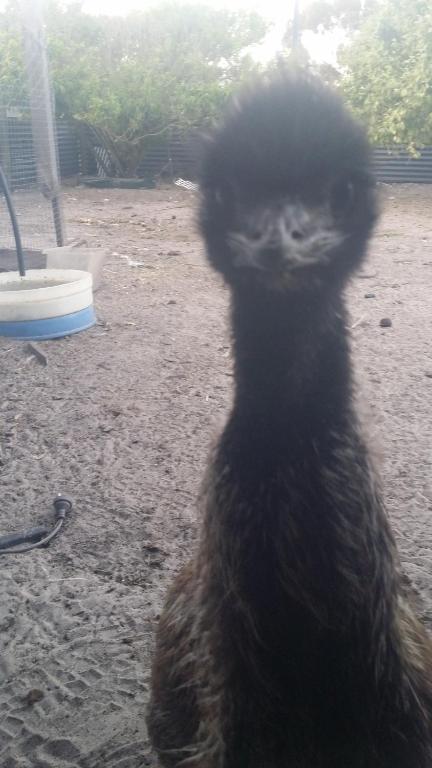 Nutcrackers Lodge - Events Australia 6