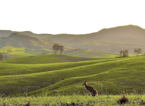 Ketchup's Bank Glamping - Events Australia 0