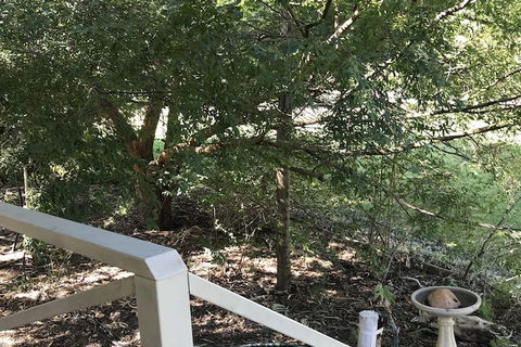 Padthaway Caravan Park - Events Australia 4