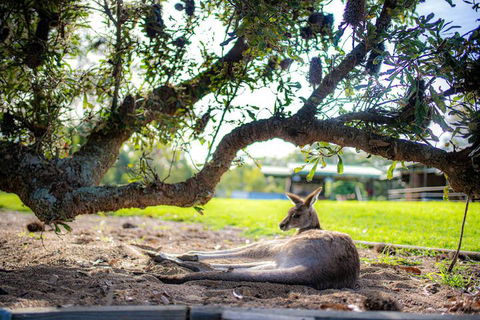 Waterfall Springs Retreat And Wildlife Sanctuary - Events Australia 5