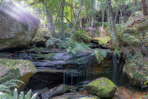 Waterfall Springs Retreat And Wildlife Sanctuary - Events Australia 3