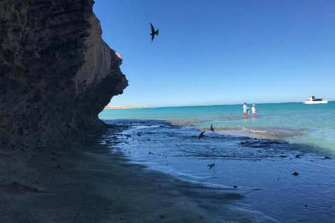 Peoples Park - Events Australia 7