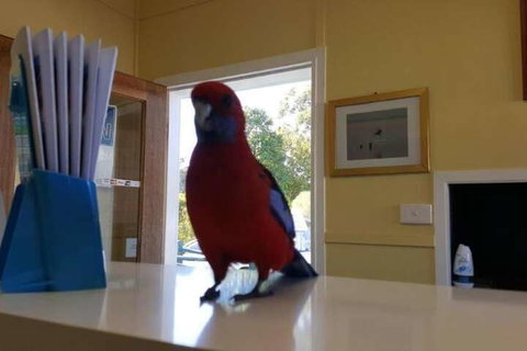 Lake Conjola Waterfront Holiday Park - Events Australia 5