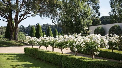 Lancemore Lindenderry Red Hill - Accommodation Europe 1