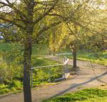 A Suite Spot in the Hills - Events Australia