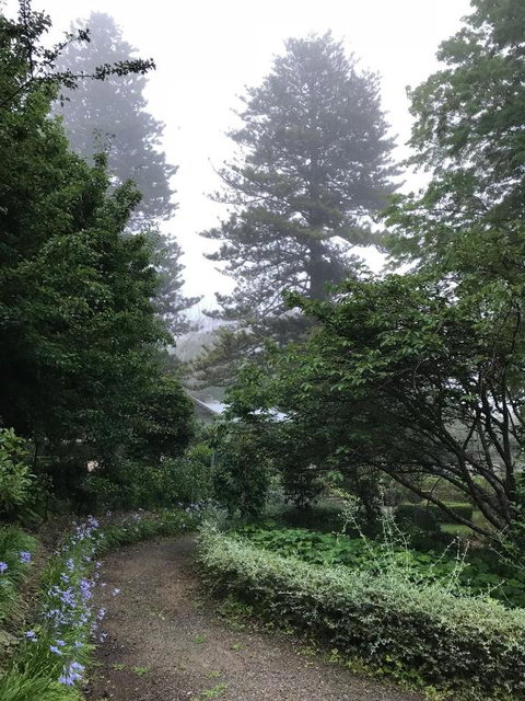 Foxglove Gardens - Events Australia 6