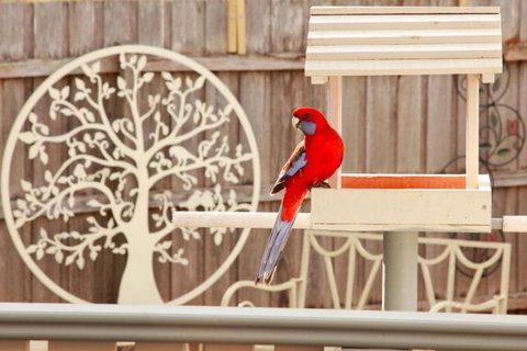 Secret Cottage - Events Australia 1