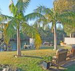 The Oasis on Jacobs Drive - Events Australia