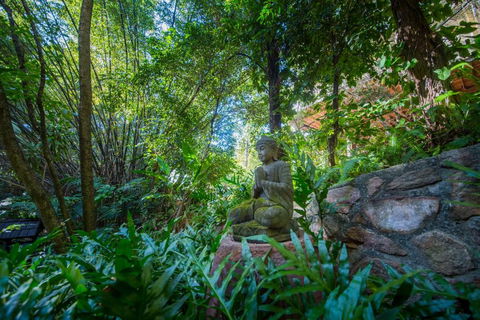 The Tree House. Treetop Living Near The Ocean Coolum Beach QLD Australia - Events Australia 2