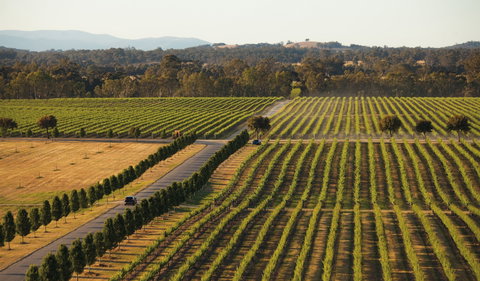 The Mitchelton Hotel Nagambie - MGallery By Sofitel - Events Australia 1