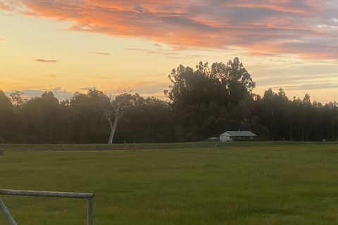 Manyat Peak Cottages - Events Australia 1