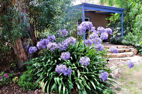 A Stanthorpe Getaway - Events Australia 4