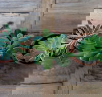 Bundaleer Home - Events Australia