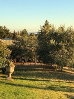 Eemnes Park Estate - Tourism Bookings 4