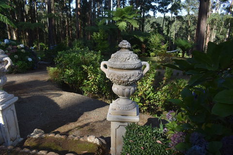 Forest Edge Cottage At Merrow Cottages - Accommodation Europe 2