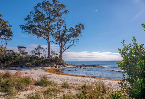 Adventure Bay Holiday Home - Events Australia 3