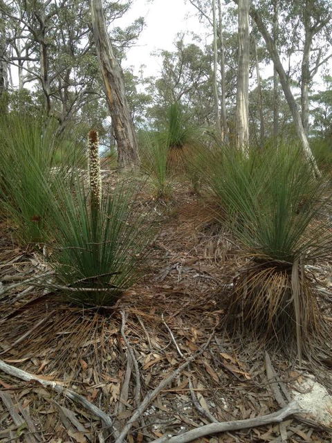 Echidna On Bruny - Accommodation Europe 1