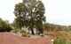 Nannup Hideaway - thumb 1
