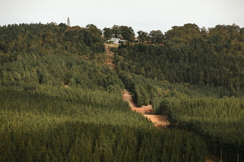 Nannup Hideaway - Events Australia 4