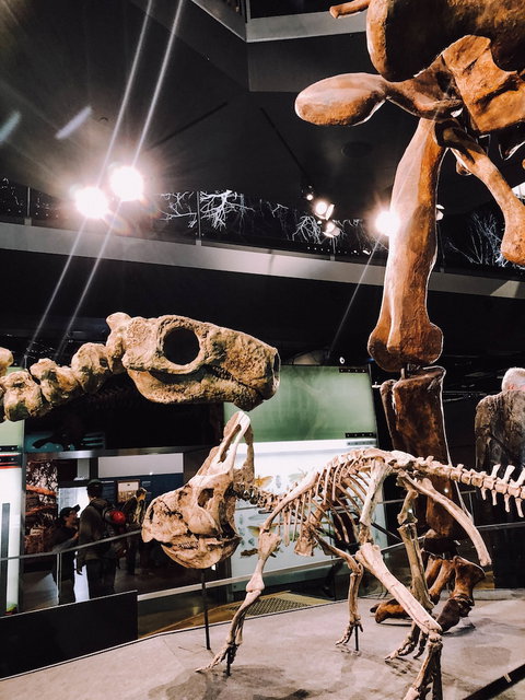 Melbourne River Views - Events Australia 4