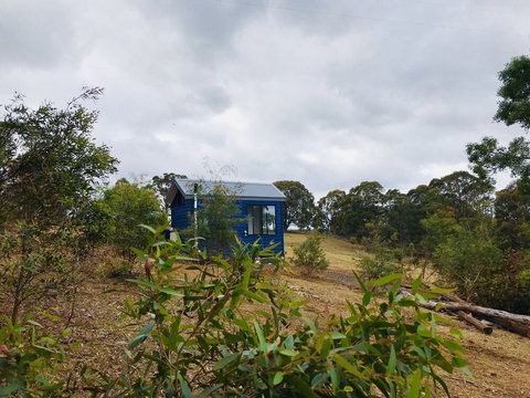 In2thewild - Walden - Events Australia 2