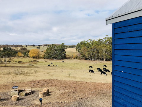 In2thewild - Walden - Events Australia 7