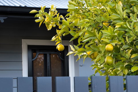 The Lemontree - Events Australia 0