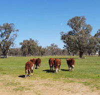 Jindera Park - Events Australia