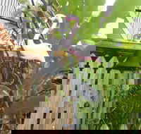 Seaside Hideaway at Clifton Beach - Events Australia