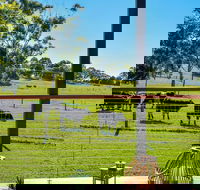 Curra Homestead Maleny - Accommodation Europe