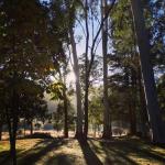 Bright Cabin Park - Events Australia 0